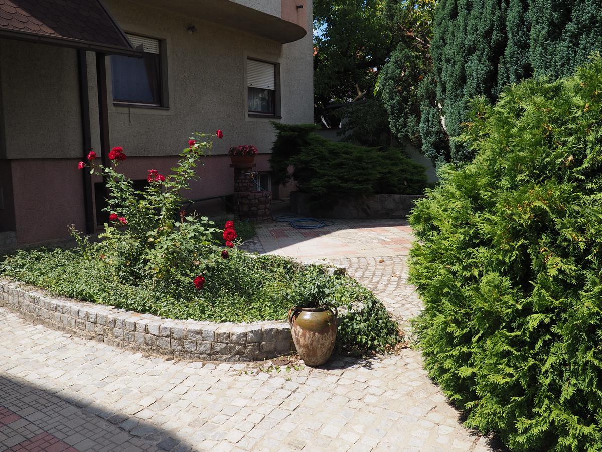 Guest House Stefanovic 브라네 외부 사진