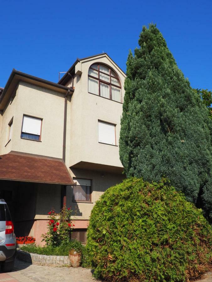 Guest House Stefanovic 브라네 외부 사진